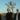 Above & Beyond