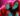 Bonnie McKee, Kiesza