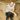 Daniel Seavey